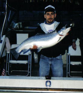 34lbbrown.jpg