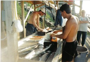 cleaningcatch.jpg